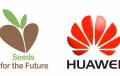 Компания Huawei: новые возможности для студентов