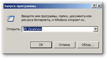 windows_04_06.jpg